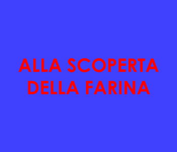 008002 ScopertaFarina