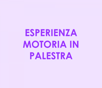 017001 MotoriaPalestra