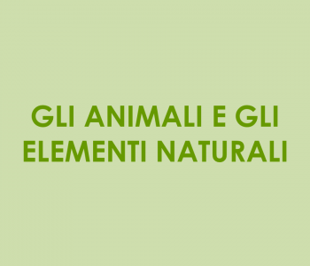 020001 AnimaliElementiNaturali